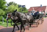 Ribe Byferie Resort foto 18