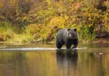 Western Canada & The Inside Passage foto 14