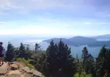 Whales, Bears and Vancouver Island foto 9