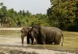 Ontdek Noord-Sumatra en relax op Bali foto 8