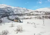Winteravontuur in Noorwegen, Tyin foto 4