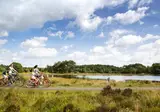 Vakantieoord de Bronzen Emmer foto 18