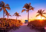 Fly & Go Corendon South Beach Miami foto 27