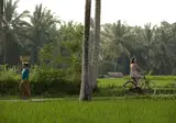 Kamandalu Resort & Spa foto 19