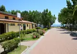 Badiaccia Camping foto 7