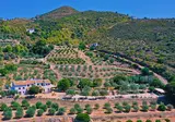 Castell de la Solana foto 3