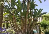 Eden foto 6