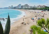 Planamar foto 21