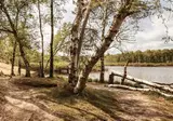 Park De Zeegser Duinen foto 15