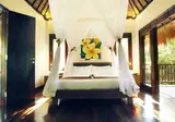 Nandini Jungle Resort & Spa foto 15