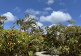 Bonaire Fun Apartments foto 4
