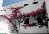 San Antonio Summer House foto 2