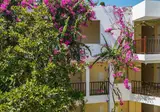 Natur Garden Hotel foto 14