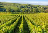 Vakantiepark Clos D Eguisheim foto 7