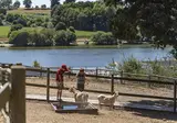 Au Bocage Du Lac foto 9