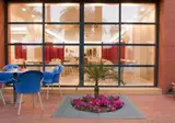 El Palmeral foto 22