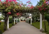 Dolce by Wyndham Siracusa I Monasteri Golf & foto 22