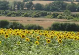 7 9 daagse fietsreis Het Franse Pad foto 2