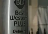 Best Western Plus The Delmere Hotel foto 12