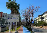 Prima foto 13