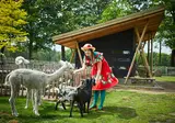 Camping TerSpegelt foto 19