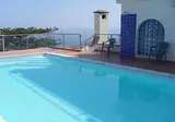 Delle Palme foto 5