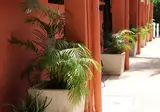 Andreas Tulum Hotel foto 6