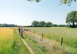 De Bonte Wever foto 54