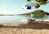 Avra Beach Hotel foto 5