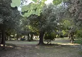 Agriturismo Villa Graziani foto 17