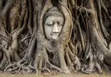 Thailand Compleet foto 8