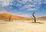 14 daagse reis Ontdek Namibië excl vlucht foto 3