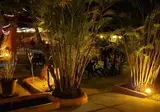 Sunrise Club foto 11