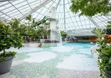 Center Parcs Park Zandvoort foto 1