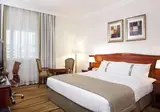 Excelsior Downtown Hotel foto 13