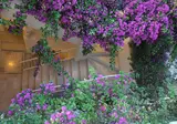 Relais Corte Palmieri foto 17