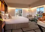 Millenium Hilton New York One UN Plaza foto 21
