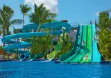 Dreams Flora Resort & Spa foto 13