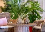 Marina Suites foto 21