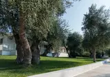 Agriturismo Giorgio foto 8