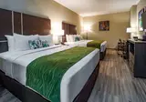 Comfort Inn & Suites foto 19