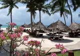 Pinewood Beach Resort & Spa foto 29