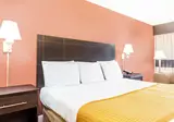 Days Inn by Wyndham Fort Lauderdale-Oakland Park Airport N foto 12