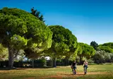 Maistra Camping Amarin Mobile Homes foto 28
