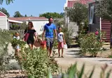 Mas Des Lavandes foto 2