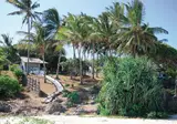 Baobab Sea Lodge foto 6