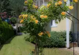 Hotel Garni Hubertus foto 19