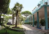 Palm Beach foto 7