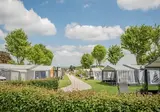 Camping Betuwestrand foto 4