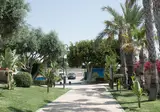 Alannia Guardamar foto 18